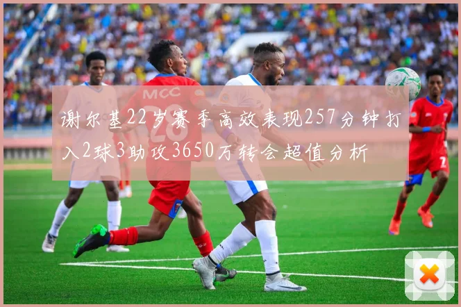 谢尔基22岁赛季高效表现257分钟打入2球3助攻3650万转会超值分析