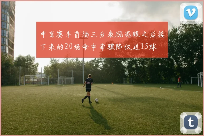 申京赛季首场三分表现亮眼之后接下来的20场命中率骤降仅进15球
