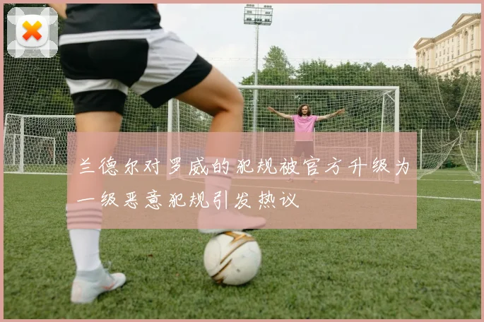 兰德尔对罗威的犯规被官方升级为一级恶意犯规引发热议