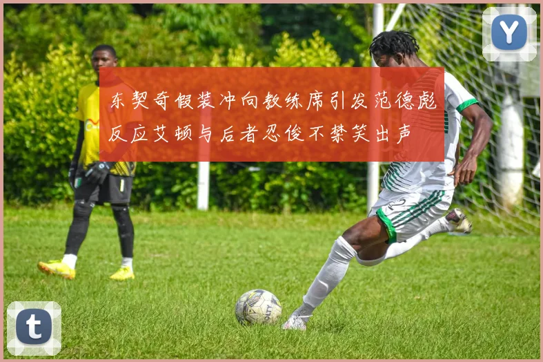 东契奇假装冲向教练席引发范德彪反应艾顿与后者忍俊不禁笑出声