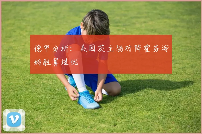 德甲分析：美因茨主场对阵霍芬海姆胜算堪忧