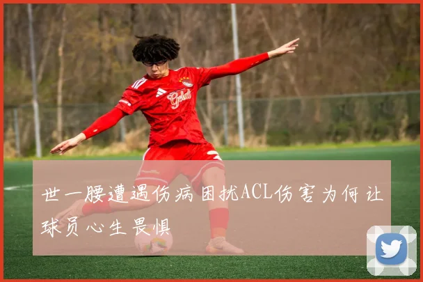 世一腰遭遇伤病困扰ACL伤害为何让球员心生畏惧